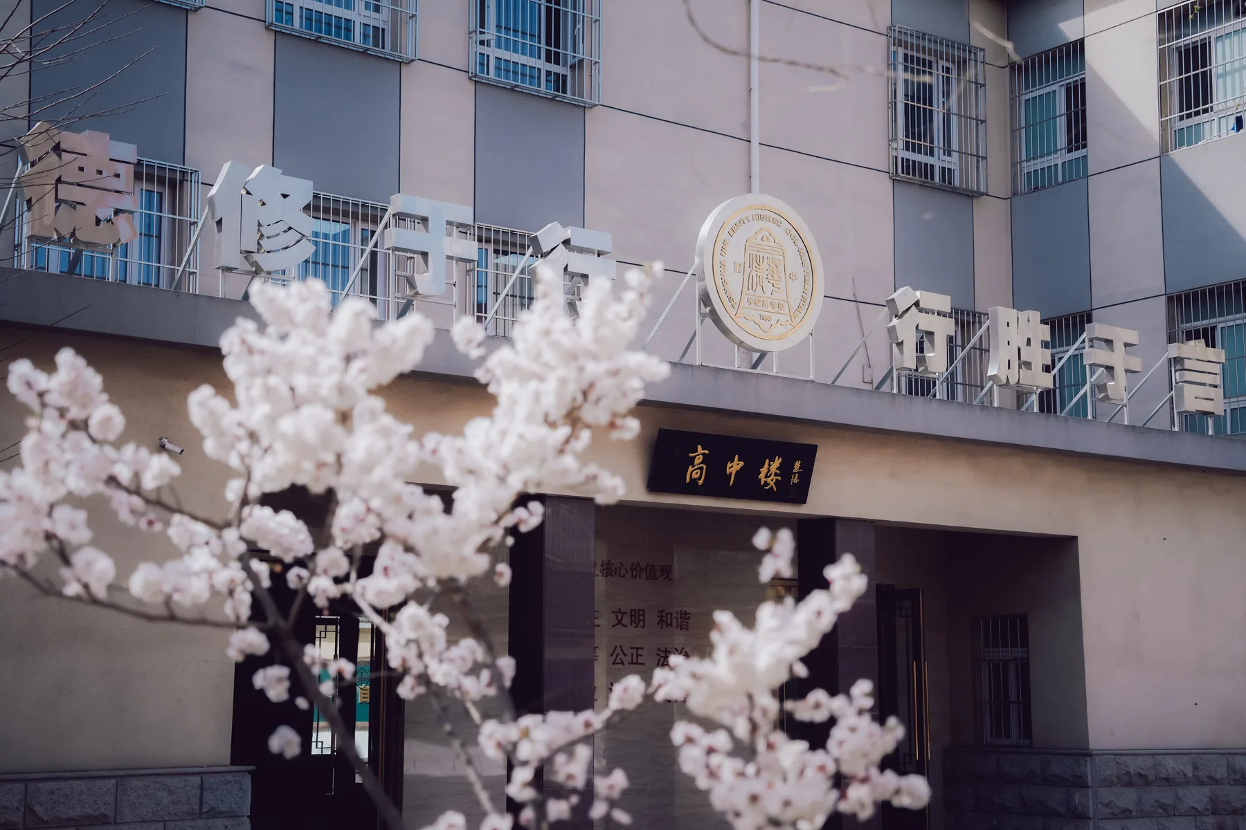 花开时节的校园建筑